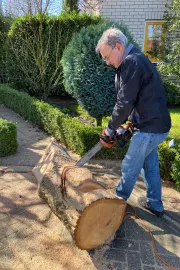 Harry van de Ven bewerkt een boomstam met een kettingzaag.